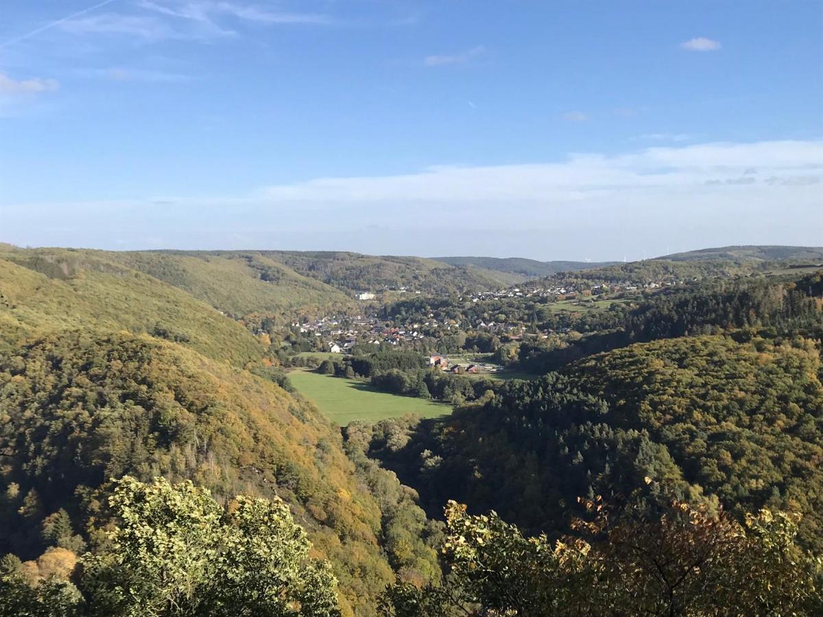 Villa Holgenbach - Penthouse- Und Ferienwohnung Im Nationalpark Eifel Schleiden Ngoại thất bức ảnh