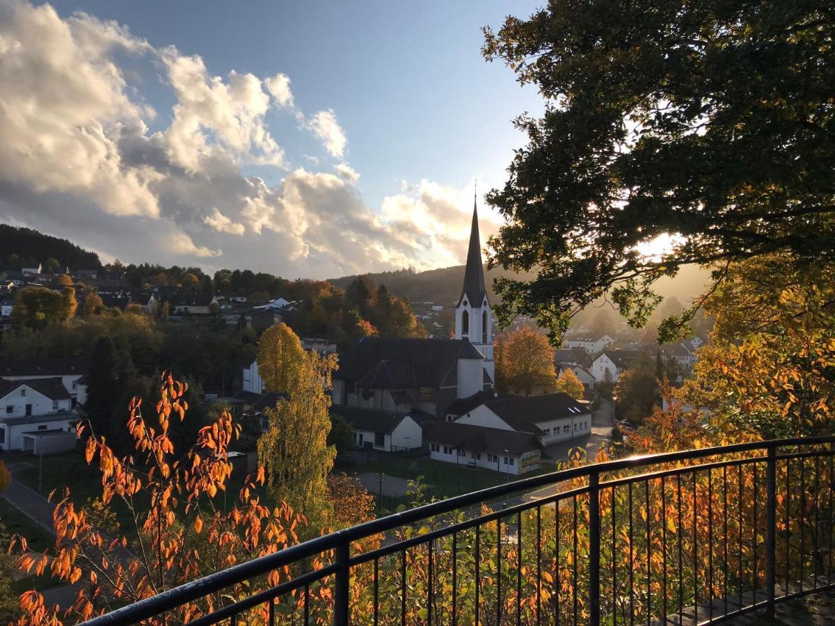 Villa Holgenbach - Penthouse- Und Ferienwohnung Im Nationalpark Eifel Schleiden Ngoại thất bức ảnh