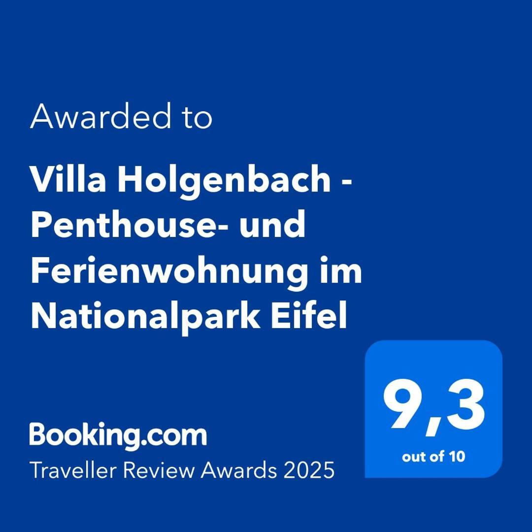 Villa Holgenbach - Penthouse- Und Ferienwohnung Im Nationalpark Eifel Schleiden Ngoại thất bức ảnh