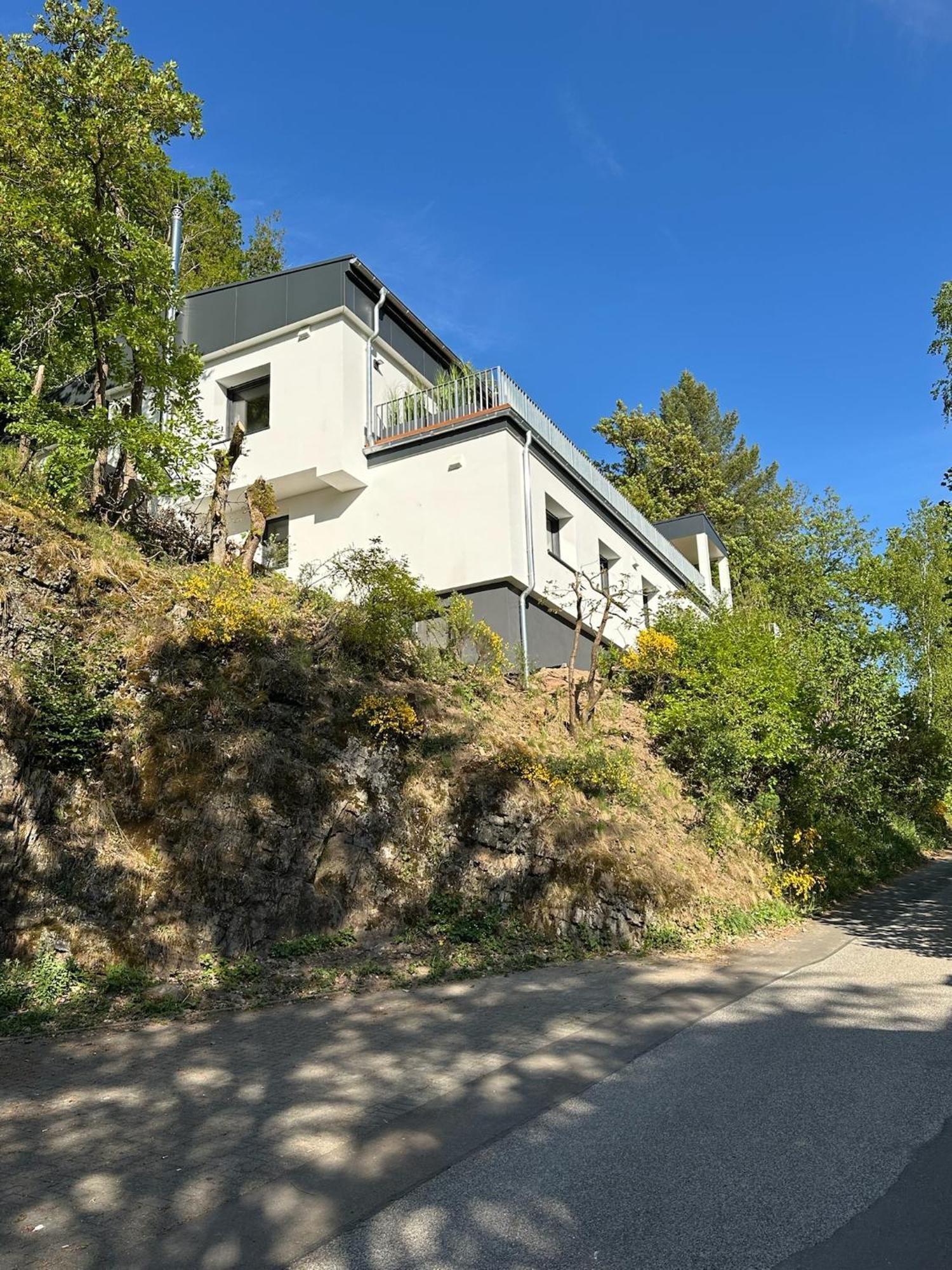 Villa Holgenbach - Penthouse- Und Ferienwohnung Im Nationalpark Eifel Schleiden Ngoại thất bức ảnh