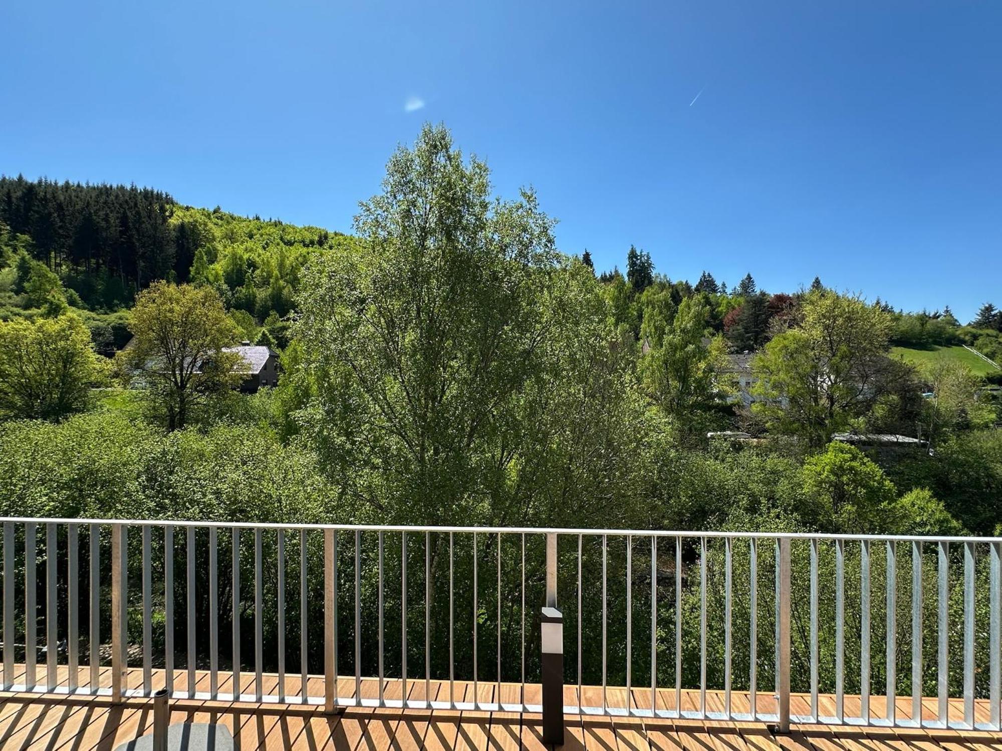 Villa Holgenbach - Penthouse- Und Ferienwohnung Im Nationalpark Eifel Schleiden Ngoại thất bức ảnh