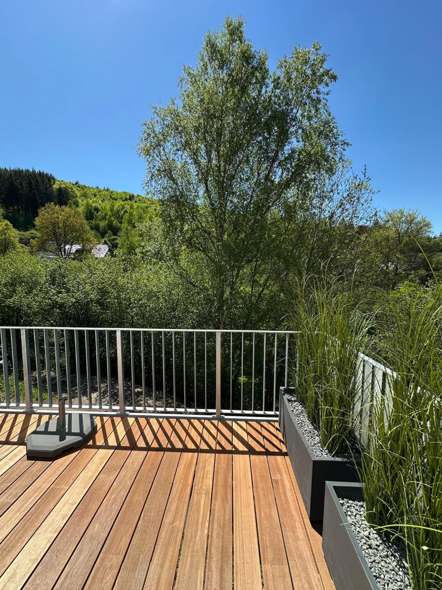 Villa Holgenbach - Penthouse- Und Ferienwohnung Im Nationalpark Eifel Schleiden Ngoại thất bức ảnh