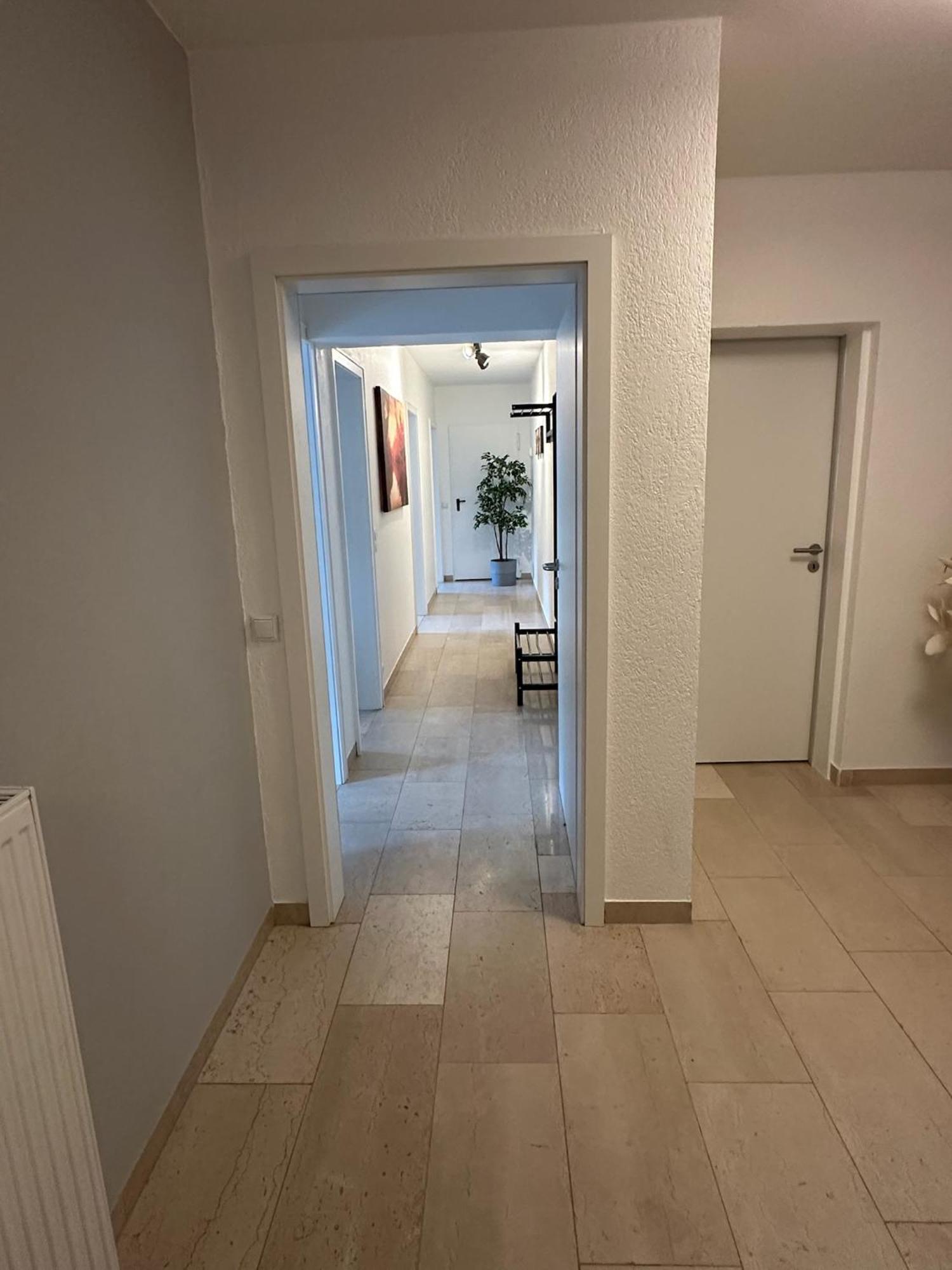 Villa Holgenbach - Penthouse- Und Ferienwohnung Im Nationalpark Eifel Schleiden Ngoại thất bức ảnh